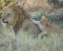 <p>Botswana</p>