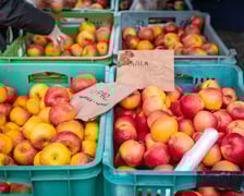 <p>Dolnośląski Targ Rolny przy Zwycięskiej 8</p>