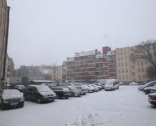 <p>Choć teraz tego nie widać, podw&oacute;rko jest zielone, a zieleń ta zostanie poddana rewitalizacji</p>