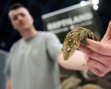 Targi Zooegzotyka w Hali Orbita