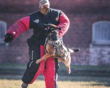 <p>Szkolenie mundurowych przewodnik&oacute;w i ich ps&oacute;w służbowych z ZK1 przy Kleczkowskiej</p>