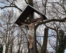 <p>Stuletni krzyż nad Odrą. Marzec 2026.</p>