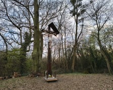 <p>Stuletni krzyż nad Odrą. Marzec 2026.</p>