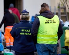 Usuwanie odpadów z podwórka przy ul. Grunwaldzkiej