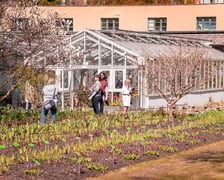 <p>Spacer po Ogrodzie Botanicznym we Wrocławiu - Wielkanoc 2026</p>