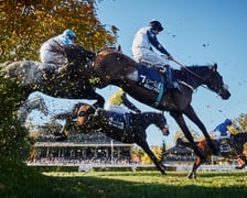 Wrocławski Tor Wyścigów Konnych