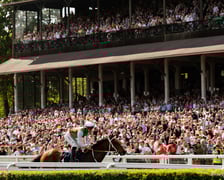 Wrocławski Tor Wyścigów Konnych