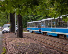 Służby na miejscu wypadku na Biskupinie 11 czerwca 2026