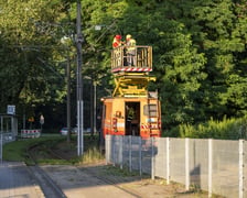 Usuwanie drzewa, które przewróciło się na torowisko i trakcję tramwajową na ul. Kwidzyńskiej - 24 lipca 2026 r.
