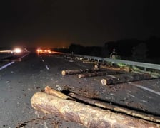 Wypadek na S8 z udziałem dwóch ciężarówek