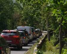 Samochód uderzył w drzewo na Strzegomskiej. Tworzą się duże korki