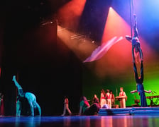 Spektakl "Gniazdo nadziei" w Teatrze Muzycznym Capitol z udziałem uczestników projektu Lelenfant (27 lipca 2026 r.).
