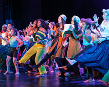 Spektakl "Gniazdo nadziei" w Teatrze Muzycznym Capitol z udziałem uczestników projektu Lelenfant (27 lipca 2026 r.).