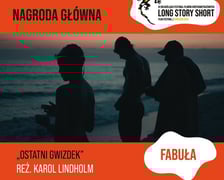 Nagroda w kategorii fabuła