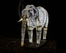 Lumina Park w Zamku Topacz pod Wrocławiem - zachwycające miejsce