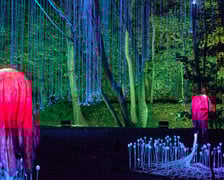 Lumina Park w Zamku Topacz pod Wrocławiem - zachwycające miejsce