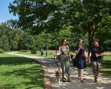 Pałac i park w Leśnicy