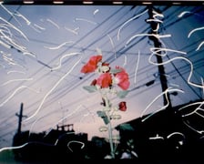 <p>Nobuyoshi Araki, Untitled (from the series_ Obscenities), 1994 Sammlung Hoffmann, Berlin; &copy; Nobuyoshi Araki</p>