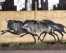 Mural autorstwa Jerzego Wołoszynowicza na ogrodzeniu zoo we Wrocławiu