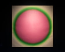 <p>Wystawa &bdquo;Wojciech Fangor: American Dream&rdquo; w Krupa Art Foundation w Rynku</p>