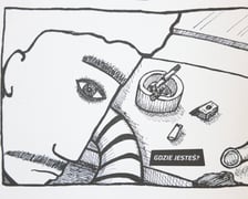 <p>Wybrane fragmenty z komiksu &bdquo;Viet_Nam XXXIII&rdquo;</p>