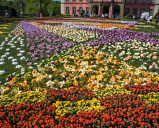 <p>XXXV Festiwal Kwiat&oacute;w i Sztuki na Zamku Książ w dniach 30 kwietnia do 4 maja</p>