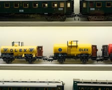 „Dolny Śląsk pnie się w górę” w Muzeum Etnograficznym we Wrocławiu