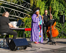 <p>Koncert z cyklu Muzyczne Parki Wrocławia - Sępolno, Emose Uhunmwangho, 24 sierpnia</p>