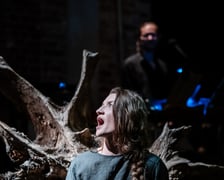 <p>Spektakl "Słoje drzewa" w Teatrze na faktach. Zdjęcie archiwalne, wykonane podczas premiery spektaklu w czerwcu 2025.</p>