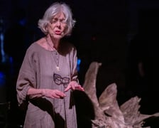 <p>Spektakl "Słoje drzewa" w Teatrze na faktach. Zdjęcie archiwalne, wykonane podczas premiery spektaklu w czerwcu 2025.</p>