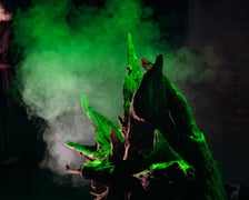 <p>Spektakl "Słoje drzewa" w Teatrze na faktach. Zdjęcie archiwalne, wykonane podczas premiery spektaklu w czerwcu 2025.</p>