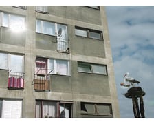 <p>Jedna z prac, jaką będzie można zobaczyć podczas festiwalu Z bliska</p>