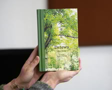 <p class="MsoNormal">Aya Kōda, &bdquo;Drzewa&rdquo;, przełożył Krzysztof Olszewski</p>