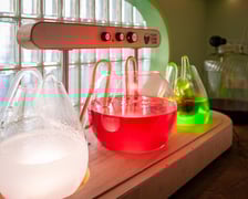 W Żyjni przed otwarciem, 22 stycznia 2026