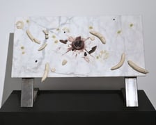 <p class="MsoNormal">Owoce &ldquo;Ziem Rzadkich&rdquo;</p>
<p class="MsoNormal">cykl makrofotografii; druk cyfrowy</p>
<p class="MsoNormal">2025</p>
<p class="MsoNormal">Okazy minerał&oacute;w z Krainy Wygasłych Wulkan&oacute;w (Pog&oacute;rze Kaczawskie), pozyskane w trakcie terenowych poszukiwań prowadzonych przez artyst&oacute;w; pochodzą z ich prywatnej kolekcji.</p>