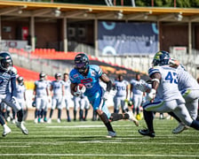 Panthers Wrocław pokonali Stuttgart Surge 34:0