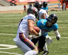 <p>Kibice na meczu Panthers Wrocław z Centurions Cologne</p>