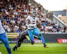Panthers Wrocław