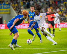 <p>Kibice na meczu Ukraina - Francja na Tarczyński Arenie we Wrocławiu</p>