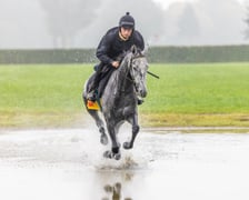 <p>Paweł Pałczyński i Jadmir trenujący przed Crystal Cup. Wrocław, październik 2025</p>