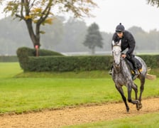 <p>Paweł Pałczyński i Jadmir trenujący przed Crystal Cup. Wrocław, październik 2025</p>