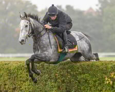 <p>Paweł Pałczyński i Jadmir trenujący przed Crystal Cup. Wrocław, październik 2025</p>