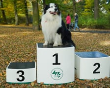 <p>Bieg Wielkiej Wyspy. Wrocław, 25.10.2025</p>