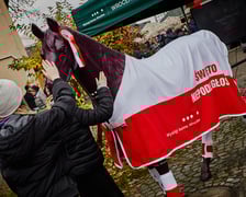 Ostatni dzień wyścigowy na Partynicach