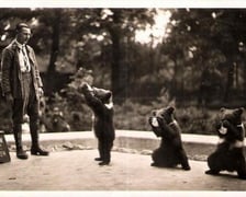 Jakie zwierzęta żyły we wrocławskim ZOO przed II wojną światową? Zobaczcie zdjęcia w naszej galerii