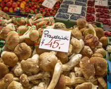 Stragany z grzybami w Hali Targowej we Wrocławiu