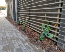 Podwórko w kwartale ulic - Cybulskiego, Pomorska, Drobnera, Dubois świetnie wygląda po remoncie