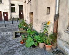 Podwórko w kwartale ulic - Cybulskiego, Pomorska, Drobnera, Dubois świetnie wygląda po remoncie