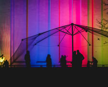 Na zdjęciu iluminacja Ogrodu Botanicznego we Wrocławiu w poprzednich latach
