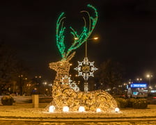Magnolia Park